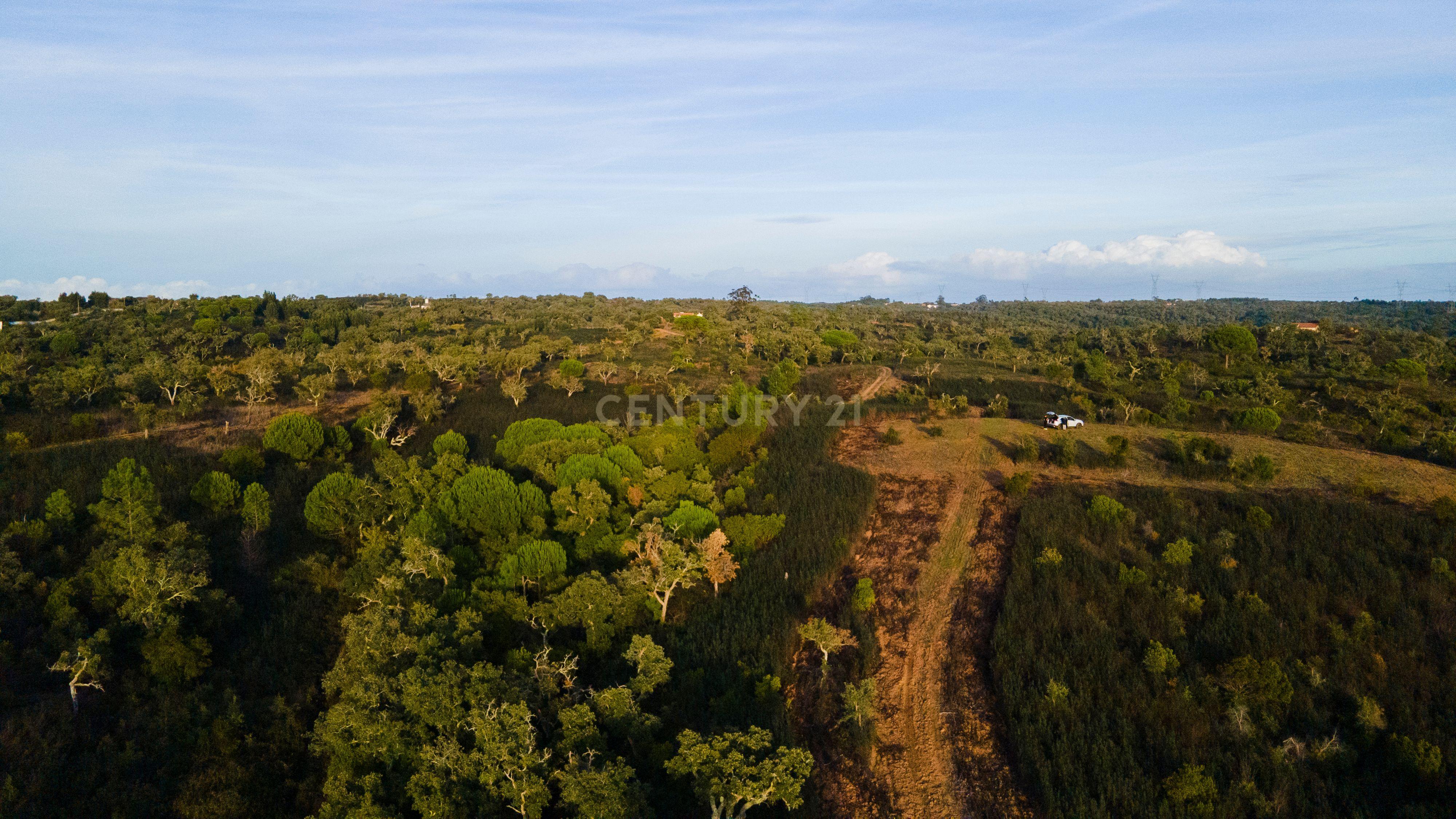 Fotografia 3 de Terreno único com vista mar e elevado potencial para Hotel Rural na Costa Alentejana - Santiago do Cacém
