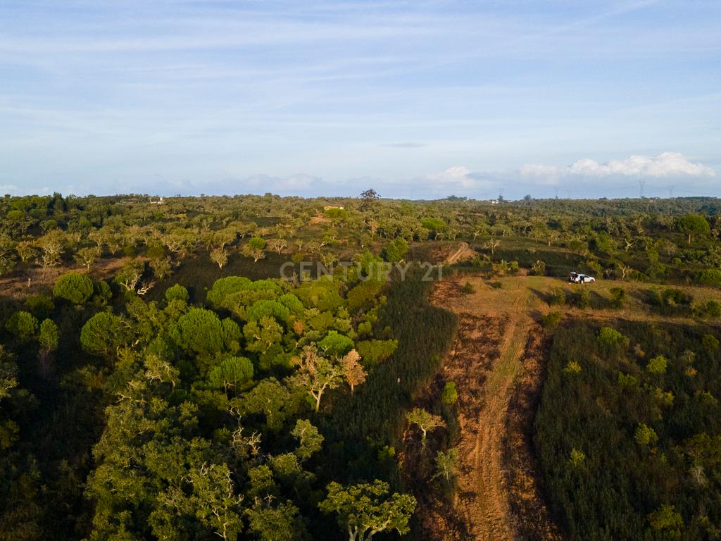Terreno único com vista mar e elevado potencial para Hotel Rural na Costa Alentejana - Santiago do Cacém - Image 3