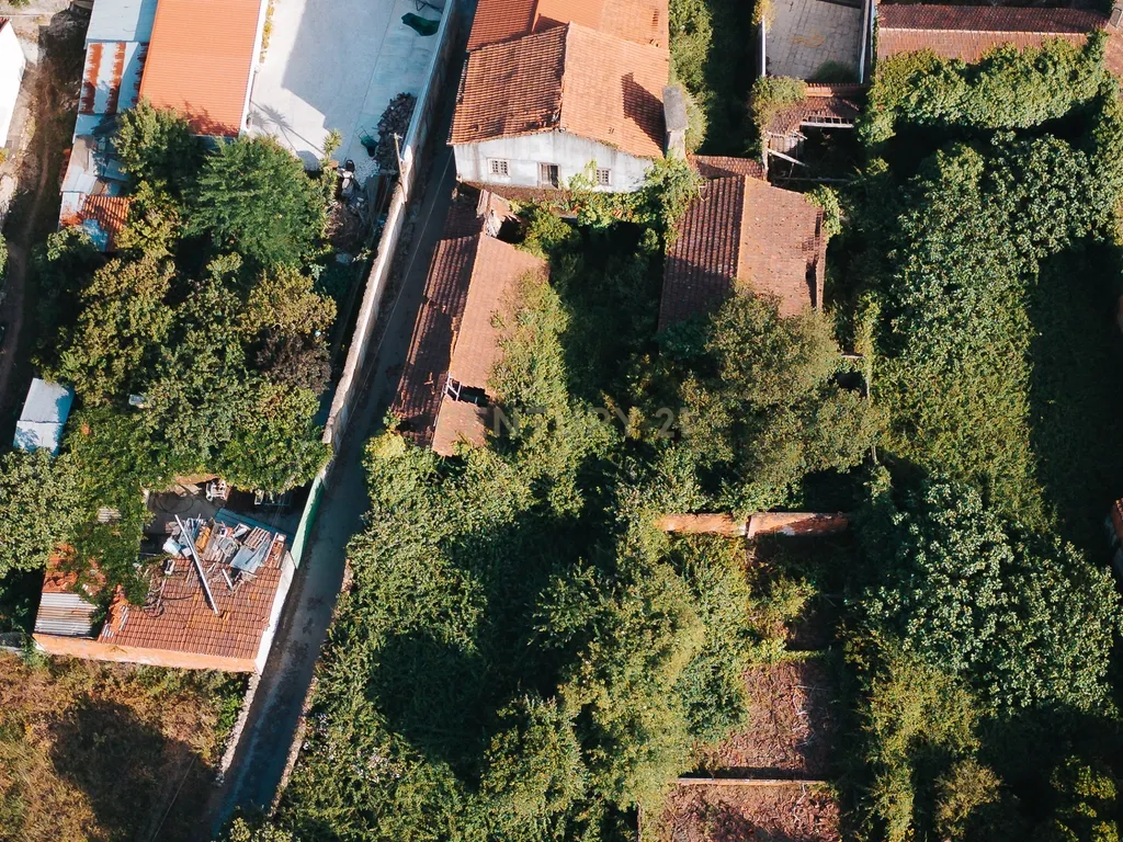 Casa para Recuperar em Vacariça, Mealhada - 677m² - Image 6