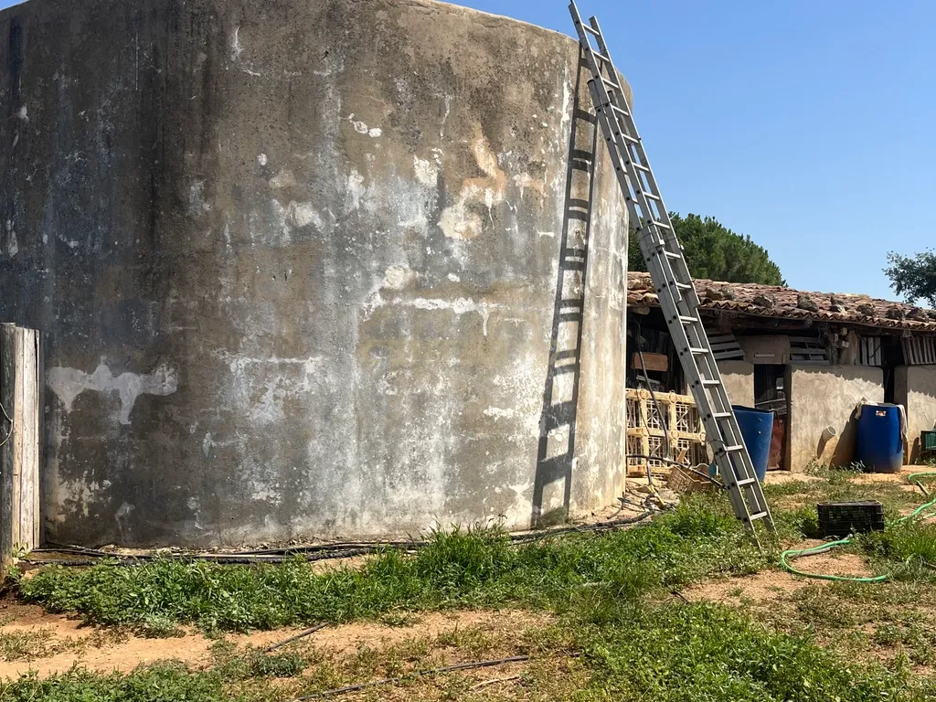 Quinta com 208.790m2, em Plena produção de Citrinos, e estufas, com elevado rendimento. Grande Potencial para projetos com fundos Europeus, e Turismo Rural. - Image 10