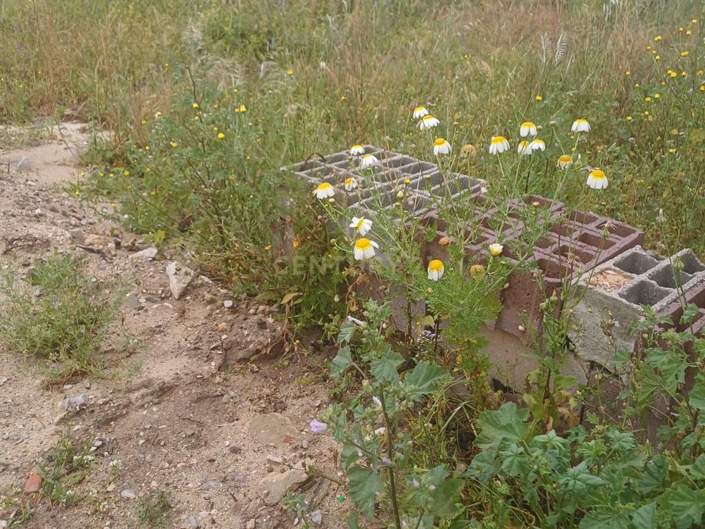 Terreno em Avos a ser convertido em m2 - Fernão Ferro - Image 5