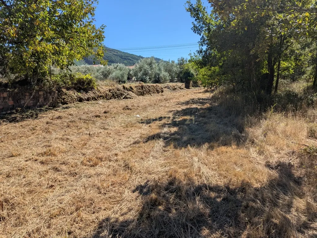 Terreno Viabilidade Construção em Espinhal, Penela – Excelente Oportunidade de Investimento - Image 14
