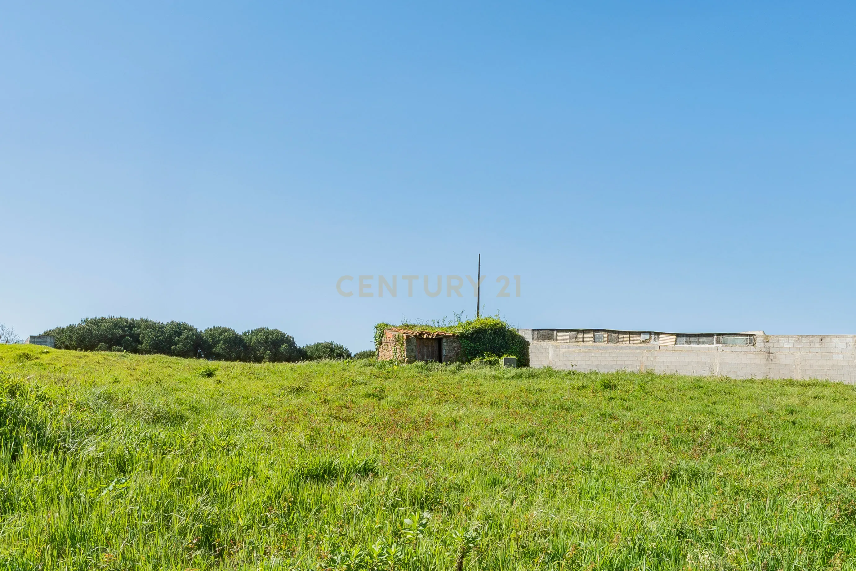 Fotografia 11 de Ruína com Terreno para construção em Vestiaria - Alcobaça