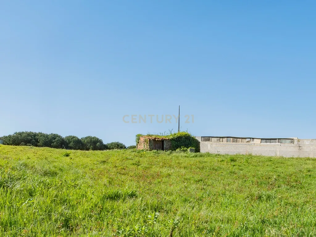 Ruína com Terreno para construção em Vestiaria - Alcobaça - Image 11