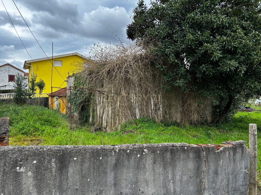 Terreno -  Vila Nova de Poiares  - Image 7