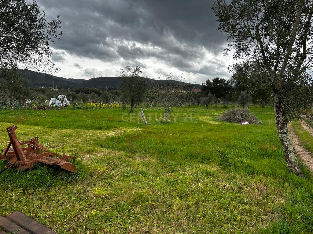 Terreno -  Vila Nova de Poiares  - Image 6