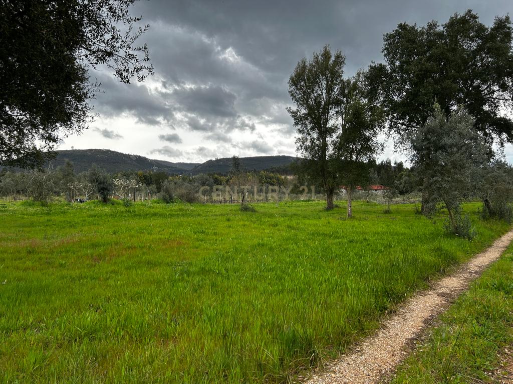 Terreno -  Vila Nova de Poiares  - Image 1