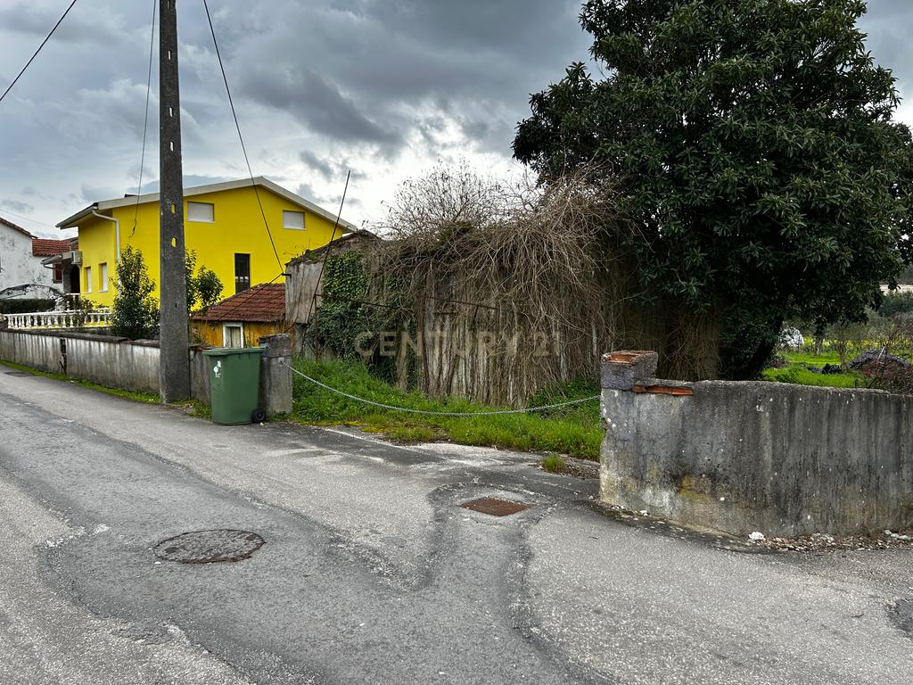 Terreno -  Vila Nova de Poiares  - Image 8