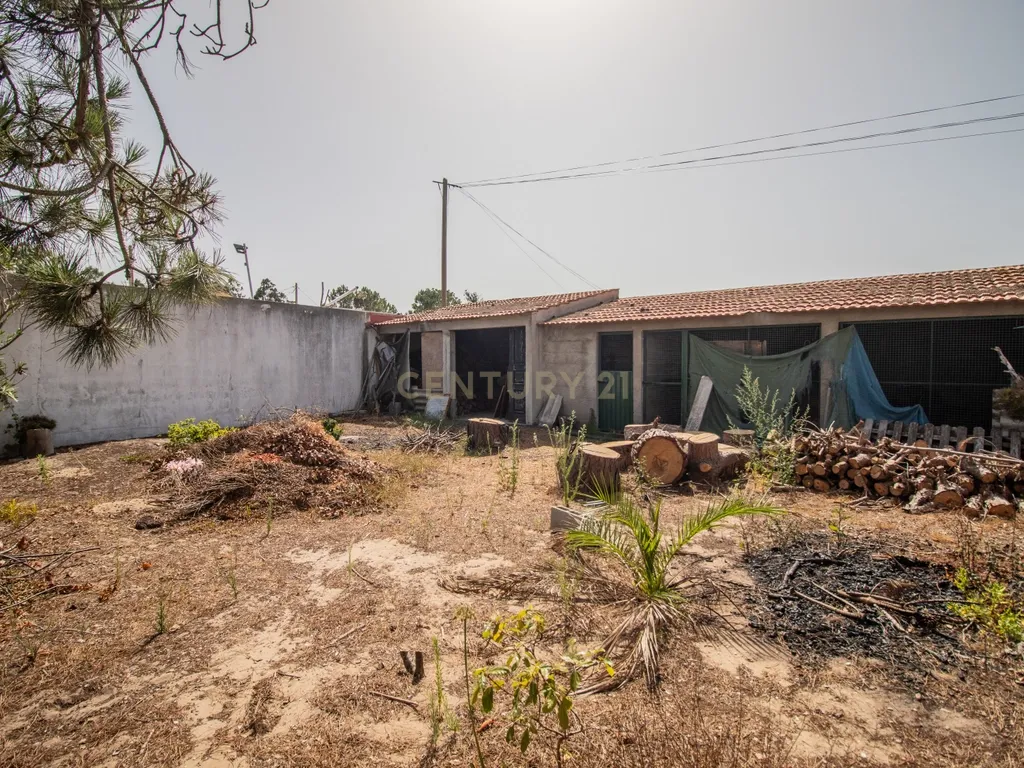 Moradia térrea T3+T0 com piscina, garagem e terreno com 2.257 m², no Ervedal, em Quiaios - Image 61