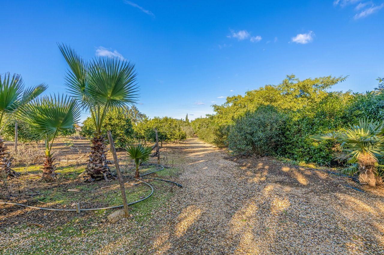 PROPRIEDADE DE FÉRIAS DOS SONHOS À VENDA NO ALENTEJO, PORTUGAL - Image 32