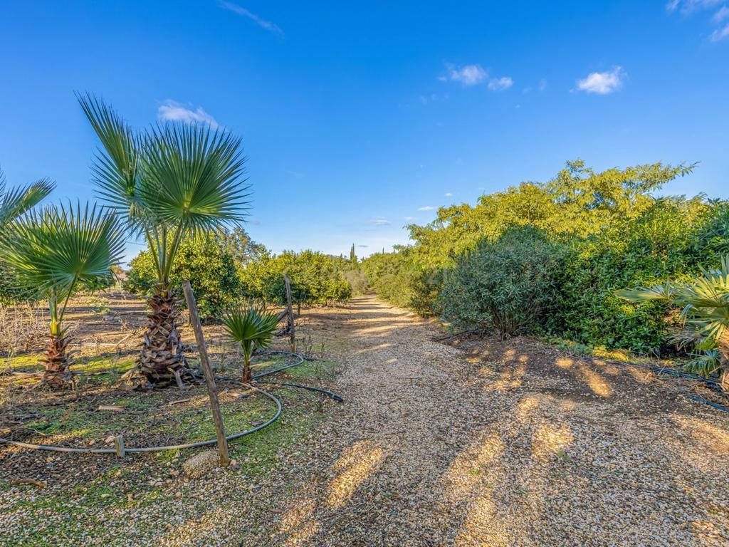 PROPRIEDADE DE FÉRIAS DOS SONHOS À VENDA NO ALENTEJO, PORTUGAL - Image 32