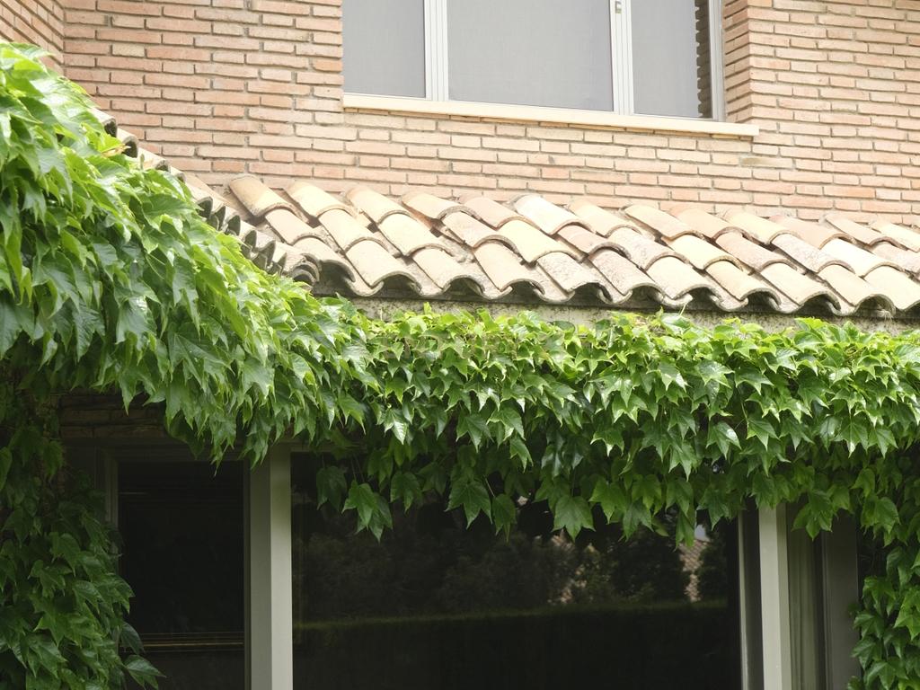  - Image 23