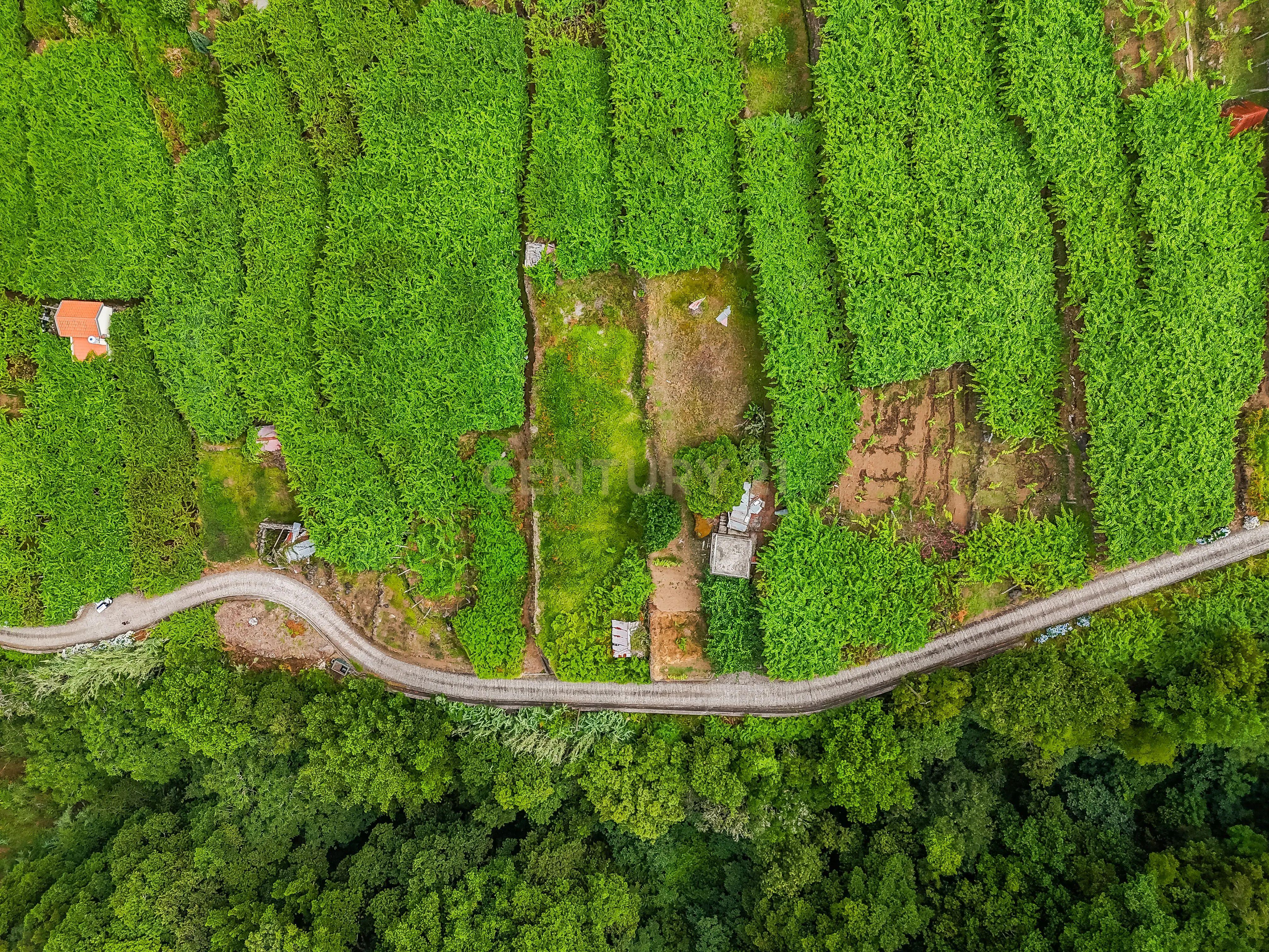 Fotografia 5 de Terreno para Construção com Projeto Residencial à Venda