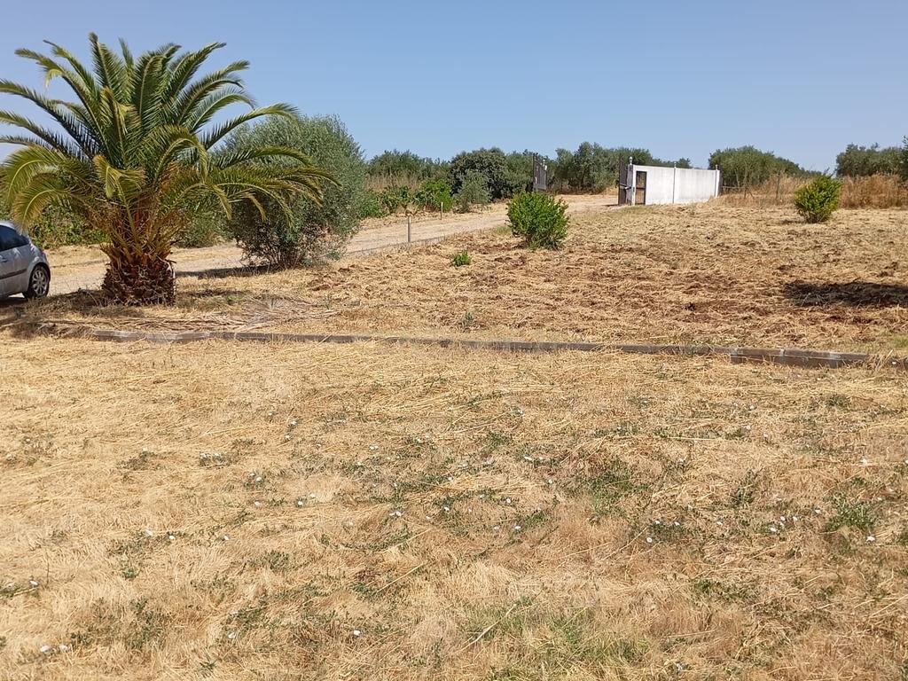 Espetacular Moradia com Piscina e Vinhedo em Campo Maior - Image 20