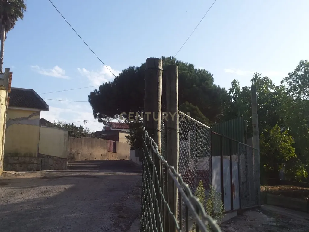 Terreno para construção c/ anexo - Lourinhã - Image 7