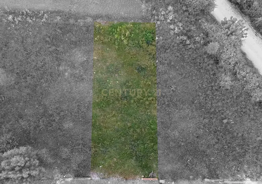 Lote de Terreno Urbano em Alcáçovas – Oportunidade Única para Construção de Habitação - Image 3