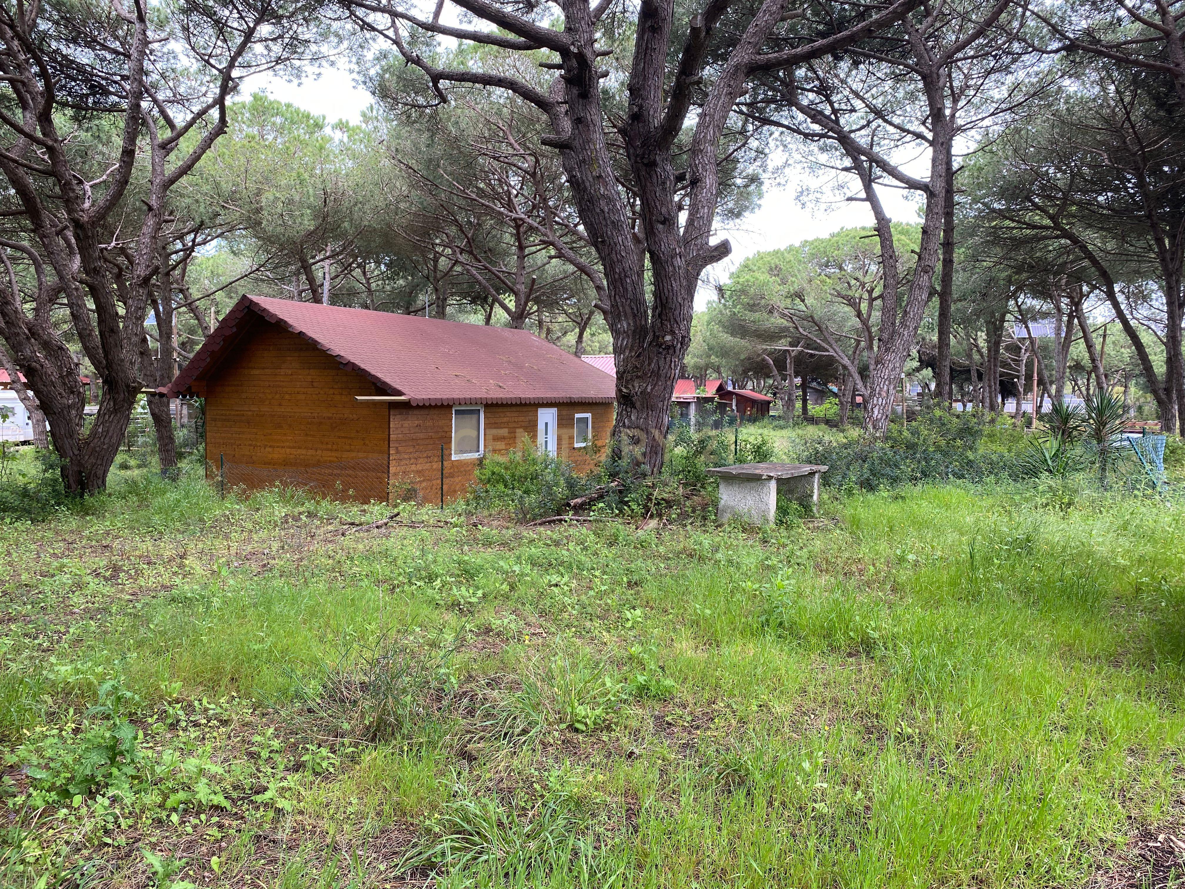 Moradia na Quinta de Zimbral - Charneca de Caparica  - Image 4