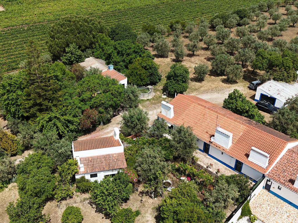 Quinta T3+3 com 4 HA em Borba – Natureza, Produção Agrícola e Conforto - Image 34