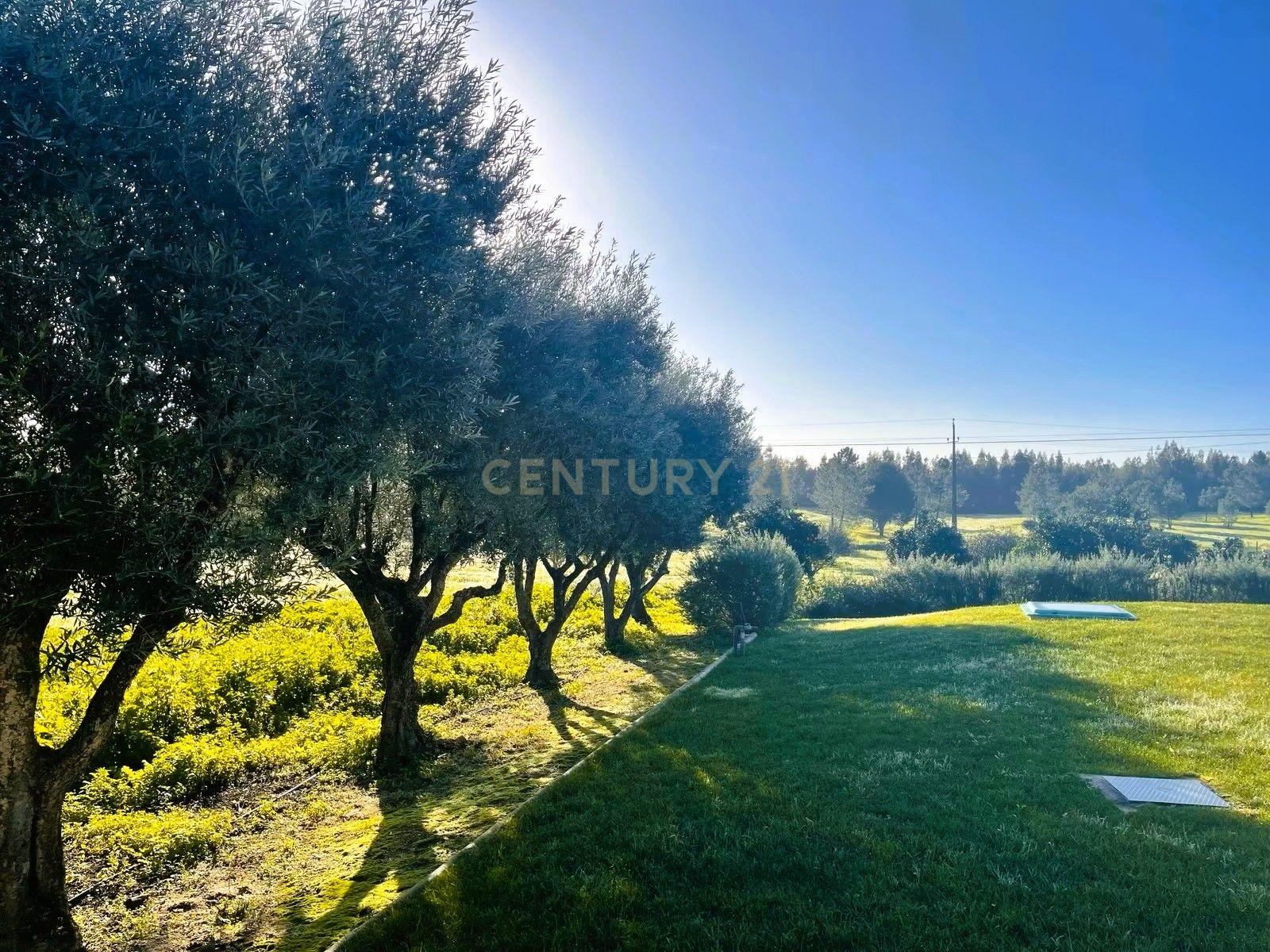 Fotografia 10 de Quinta da Francesa | Quinta com 42.400 m², 2 habitações, piscina, adega e total privacidade em Branca, Coruche