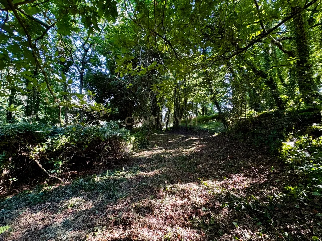Terreno com 2,6519 hectares, situado em Abragão, Penafiel - Image 3