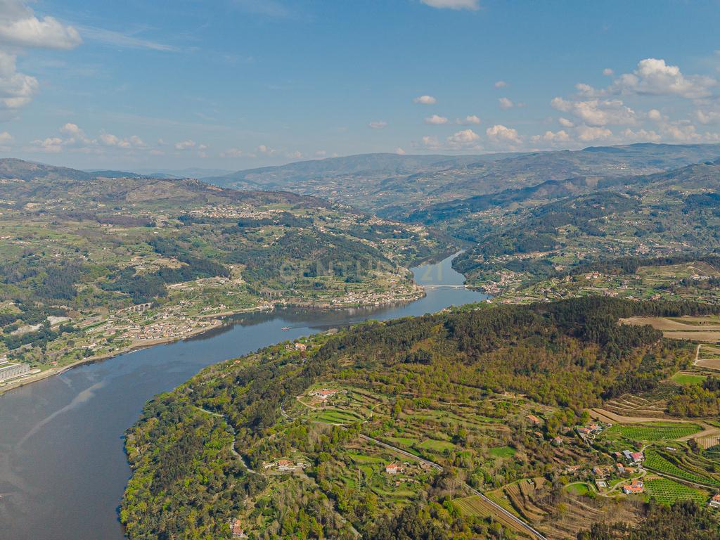 Terreno com magnifica Vista para o Rio Douro em Paços de Gaiolo - Image 14