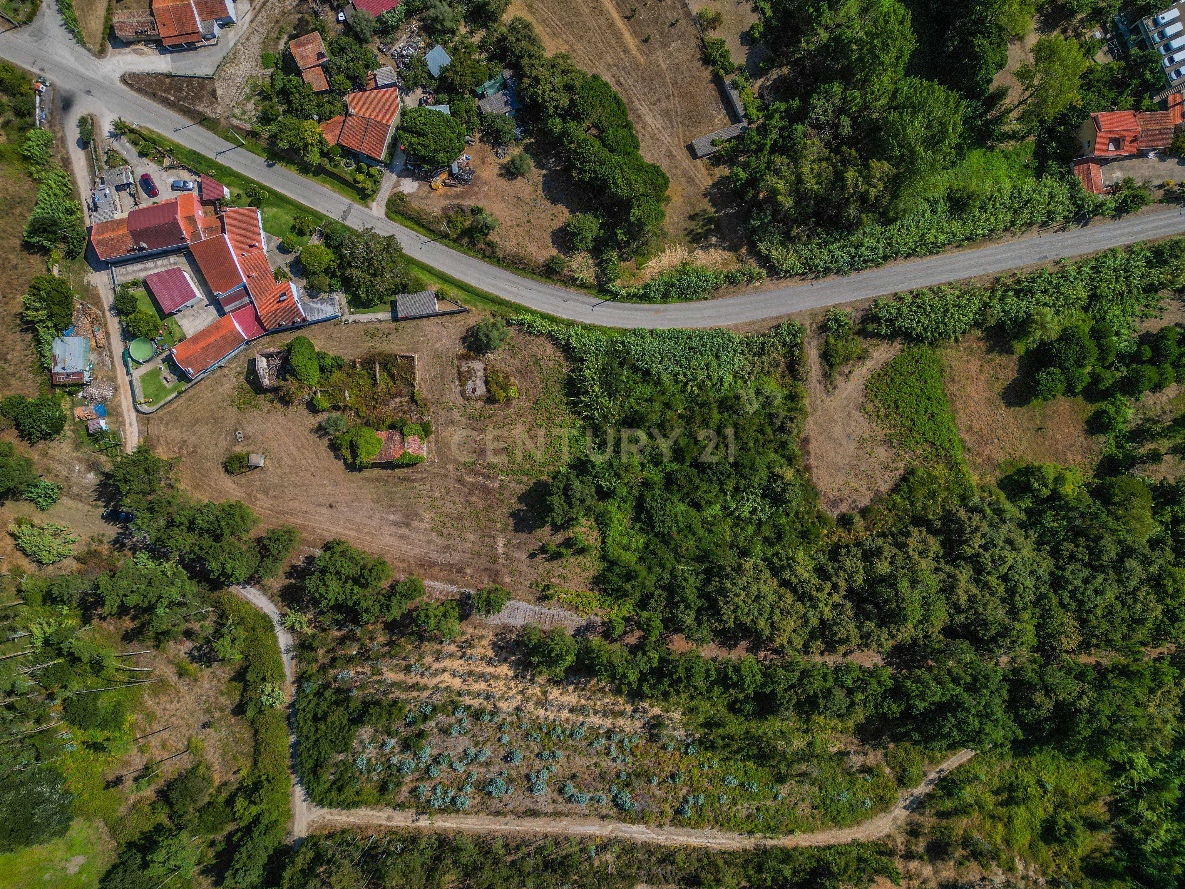Fotografia 7 de Propriedade com duas casas para reabilitar, terreno e poço na Costeira – Figueira da Foz