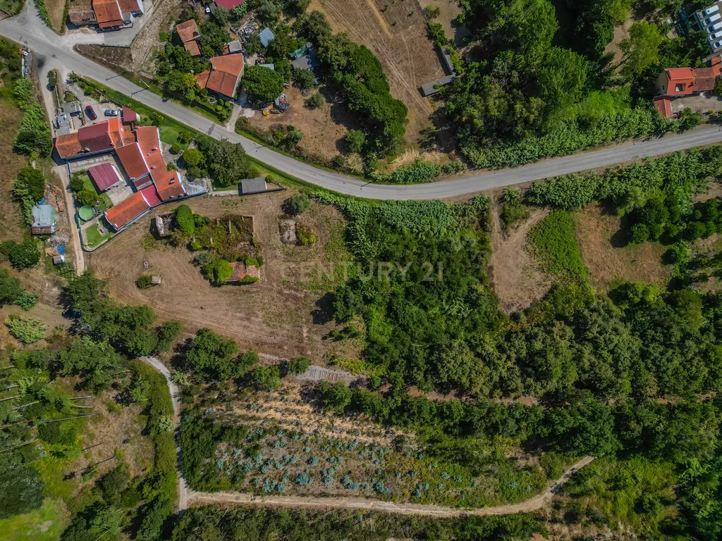 Propriedade com duas casas para reabilitar, terreno e poço na Costeira – Figueira da Foz - Image 7