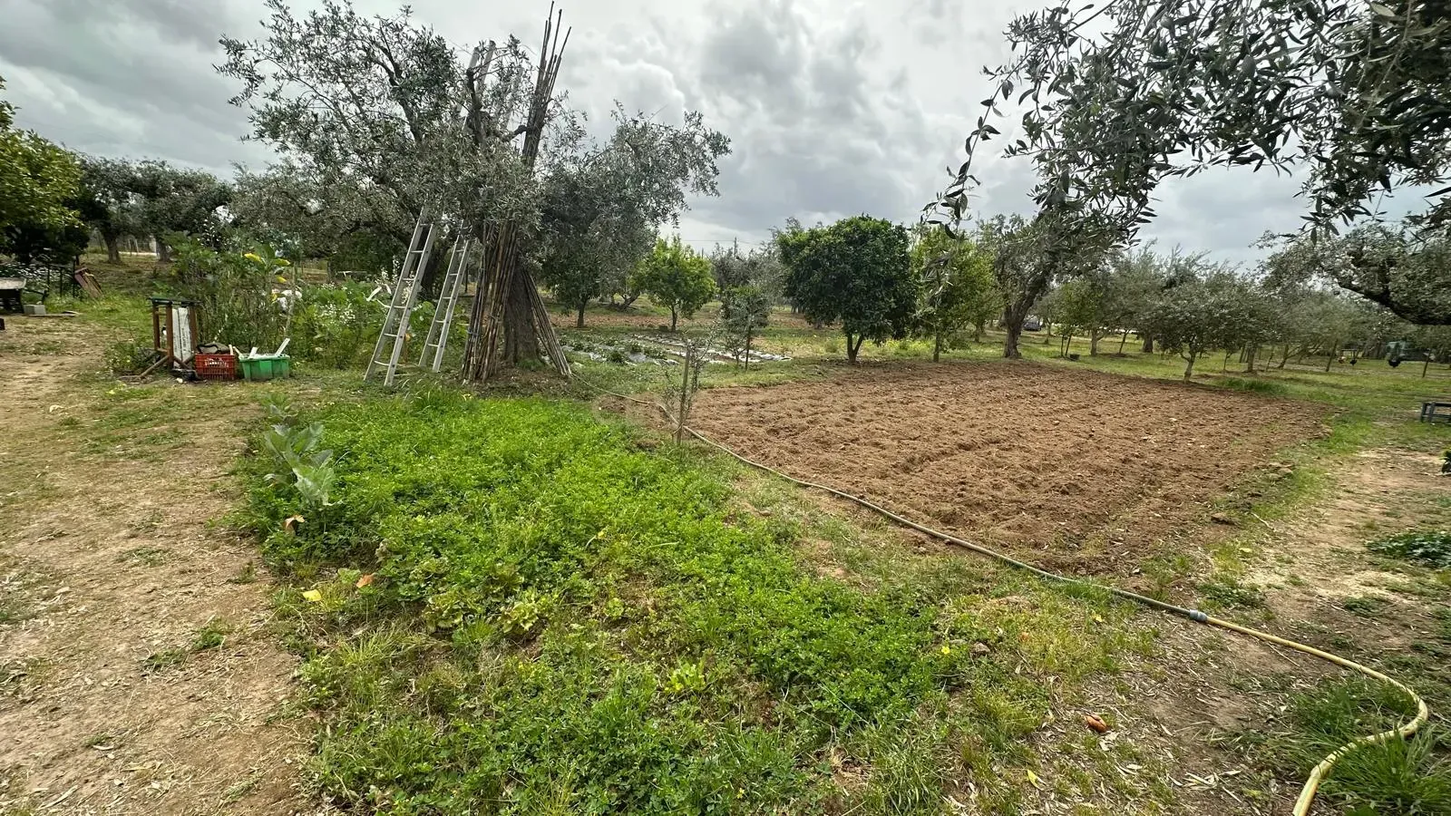 Moradia T4 à venda em Ladoeiro, Idanha-a-Nova — foto 19