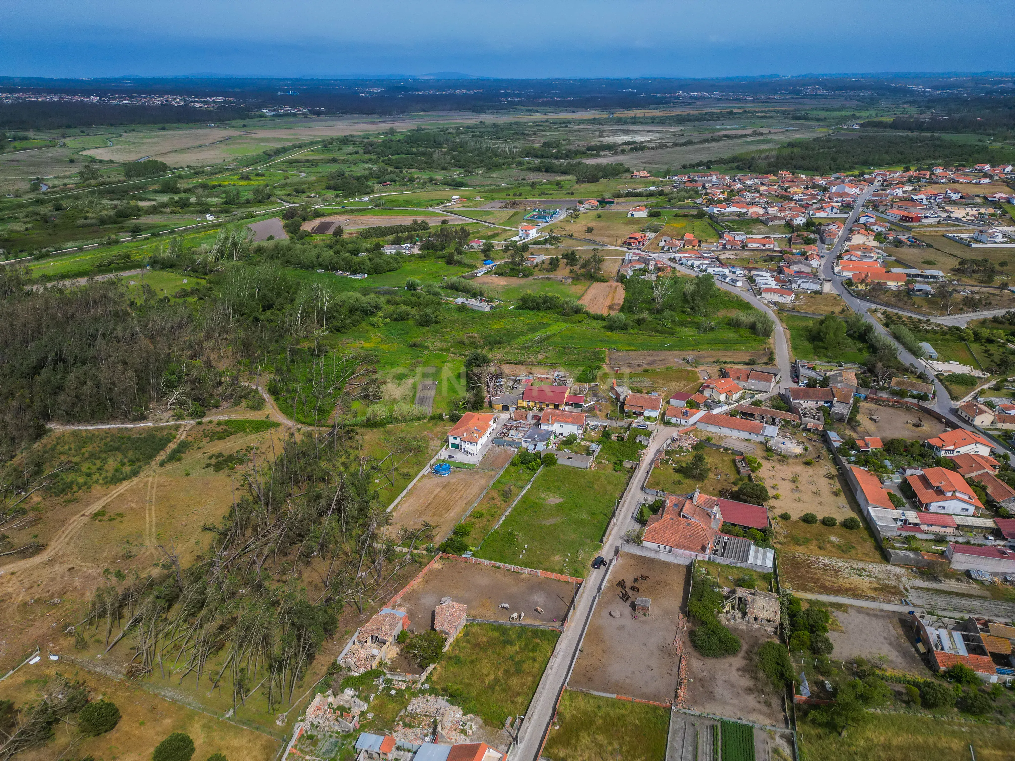 Fotografia 8 de Moradia Rústica para reabilitar em Vieira de Leiria, com terreno, a cerca de 5 minutos da Praia da Vieira