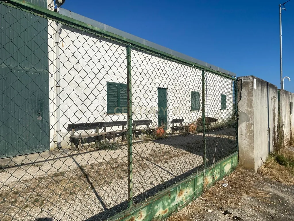 Armazém Agro-Industrial mais T1 e Terreno – Vale da Pedra, Cartaxo - Image 12