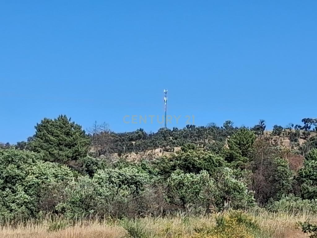 Terreno Rústico, 3800m2 em Aldeia do Bispo, Penamacor - Image 10