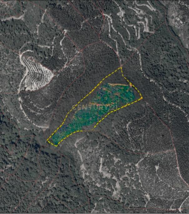 Terreno com construção rural - Marmelete. - Image 9