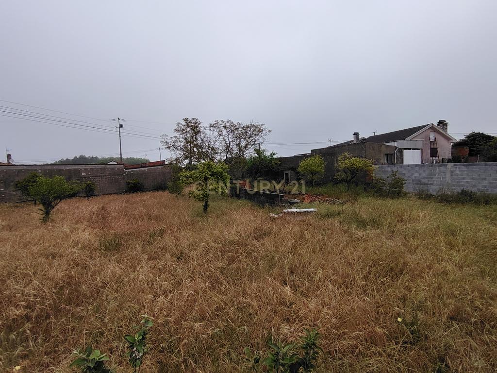 Lote com Viabilidade de Construção — Total 451 m² - Image 4