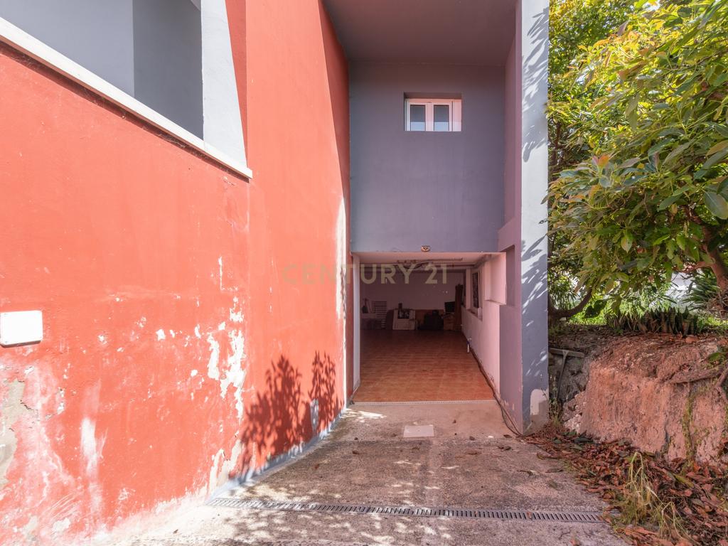 - Image 42