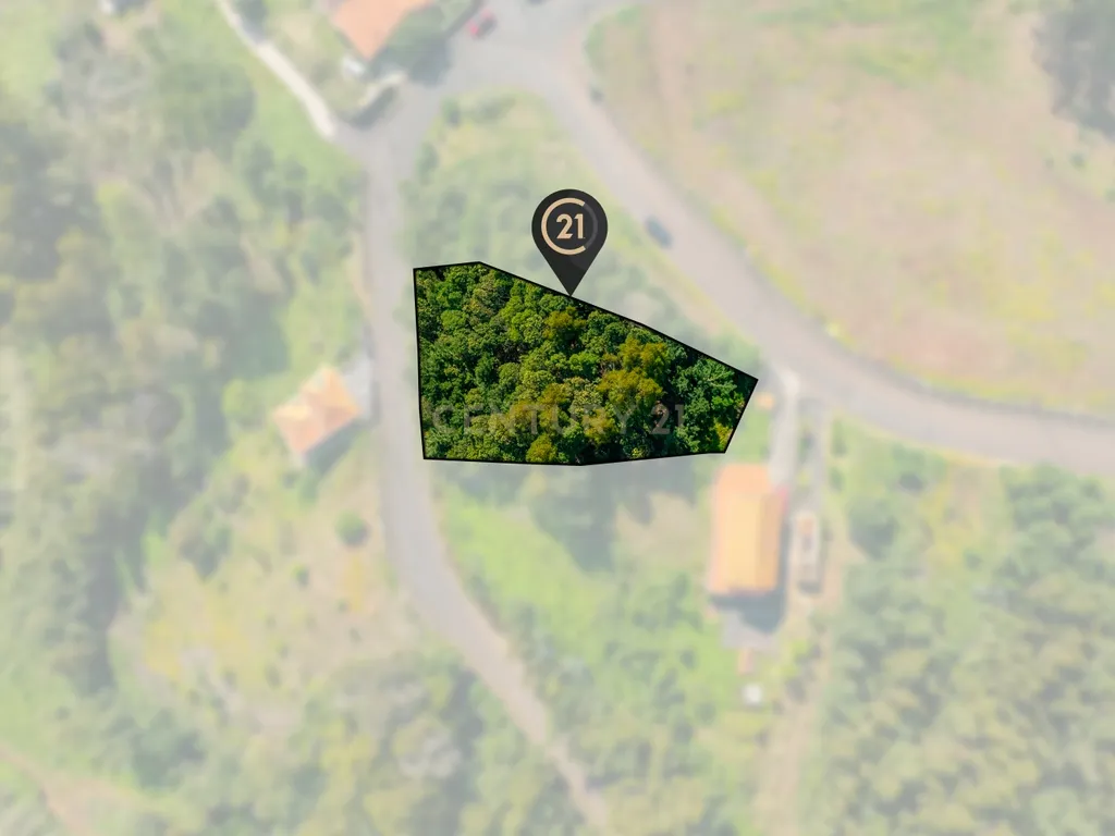 Terreno com Potencial em Zona Verde e Tranquila de Gaula - Image 6