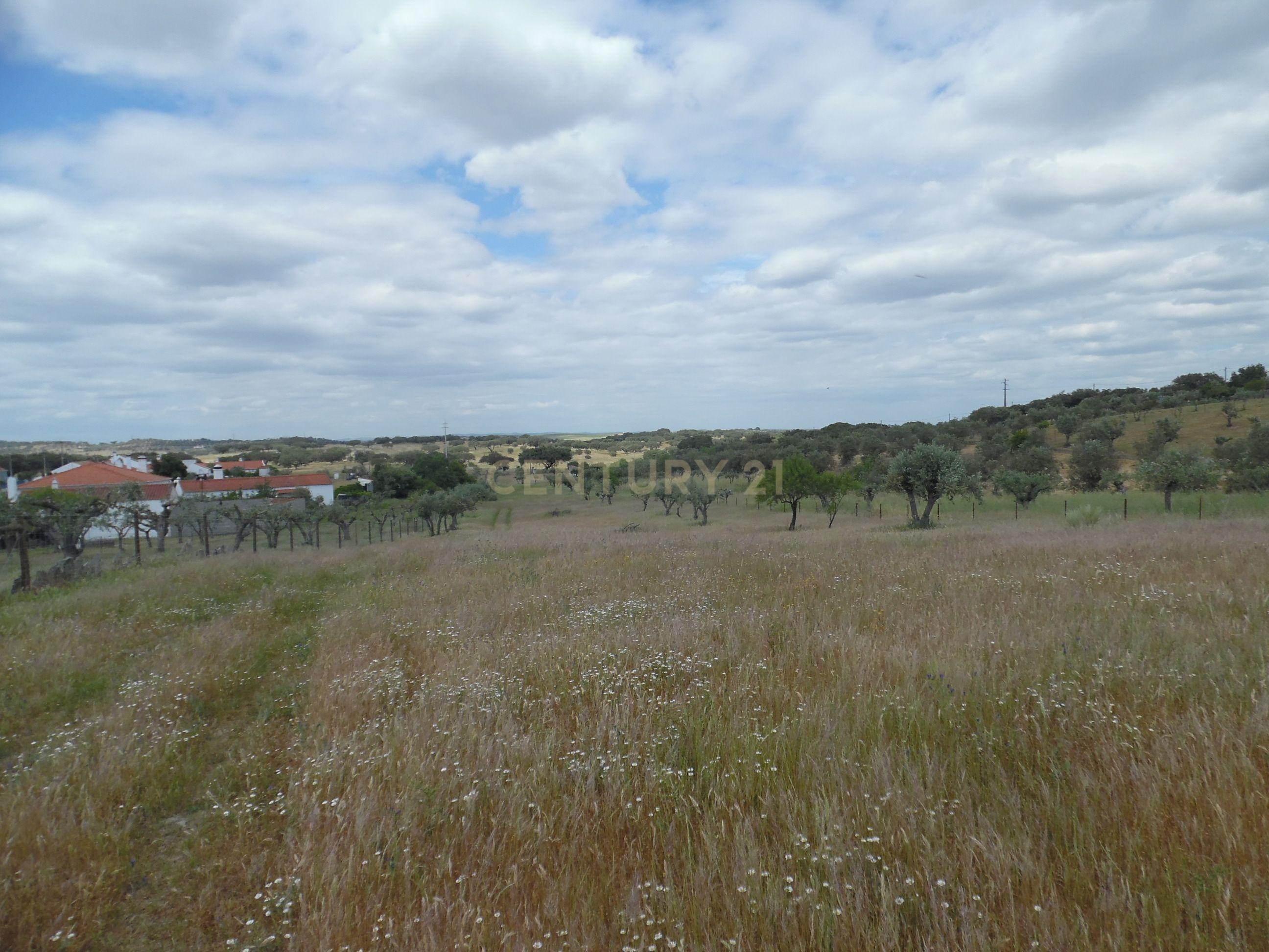 Moradia T3 à venda em Capelins (Santo António), Alandroal — foto 22
