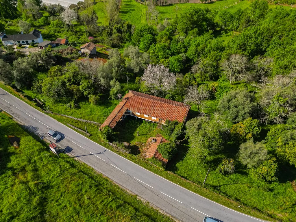 🌿 Quinta Rústica com 15.075 m² | Para Recuperar | Póvoa de Lanhoso, Braga - Image 33