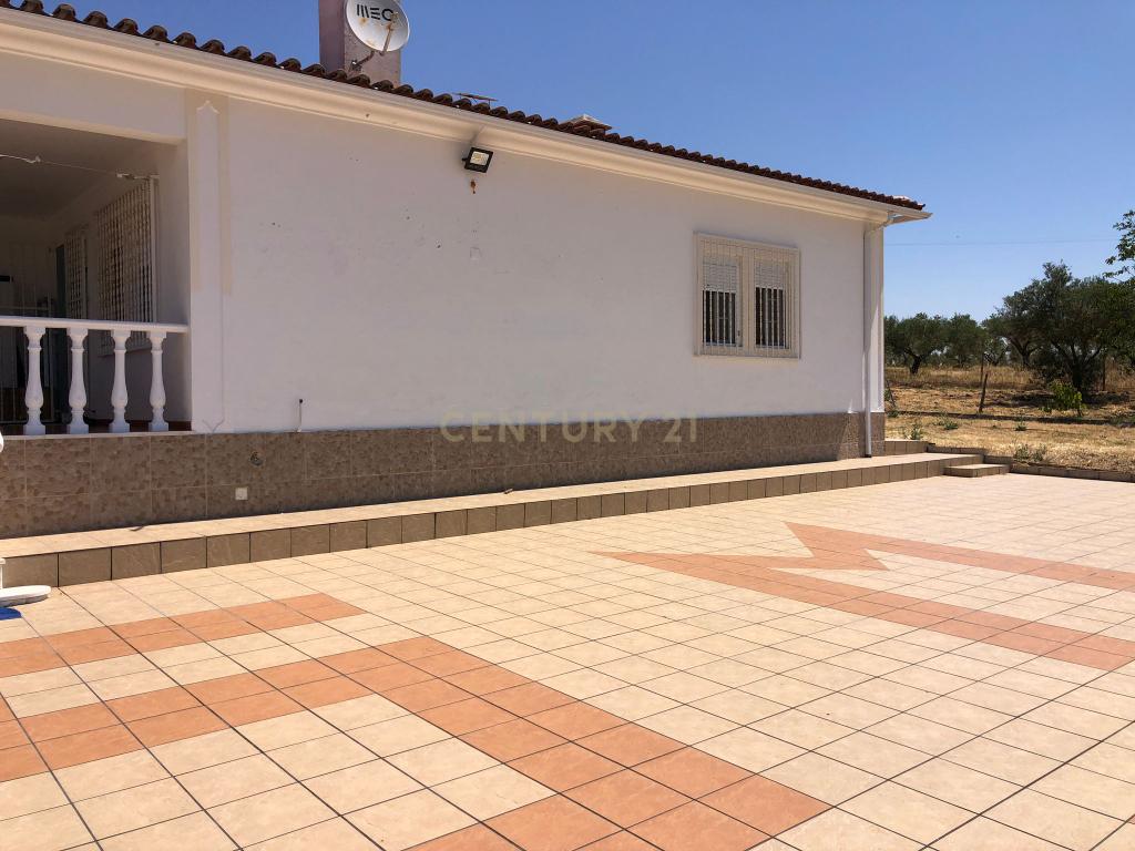 Espetacular Moradia com Piscina e Vinhedo em Campo Maior - Image 14