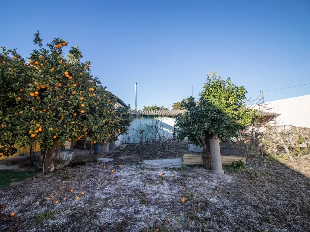 Estabelecimento Comercial - Antigo Restaurante - Lavos, Figueira da Foz - Image 43