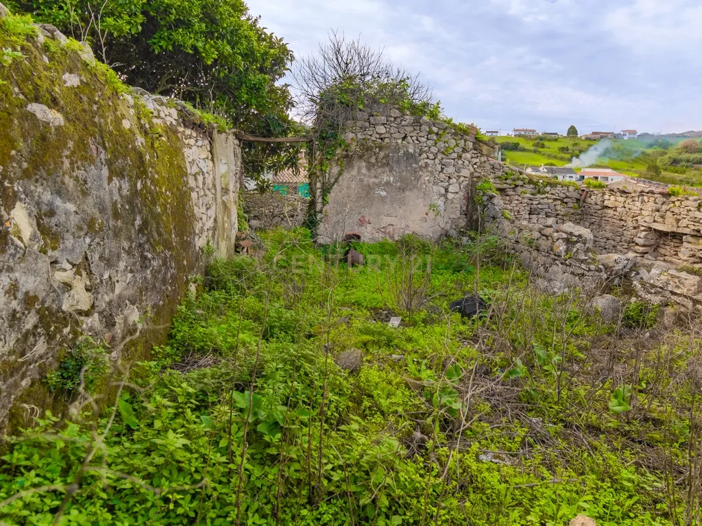 Ruína para Venda no Carvalhal de Ajubarrota - Image 16