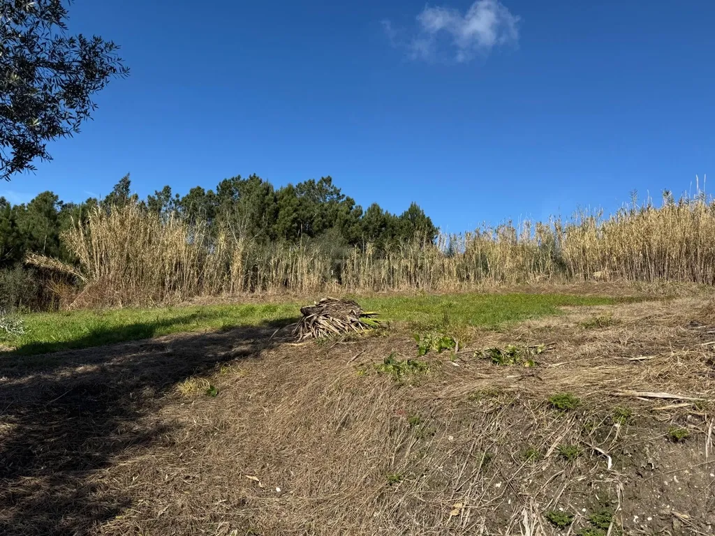 Terreno Panorâmico em Pombal - 1020m² por 34.500€ - Image 18