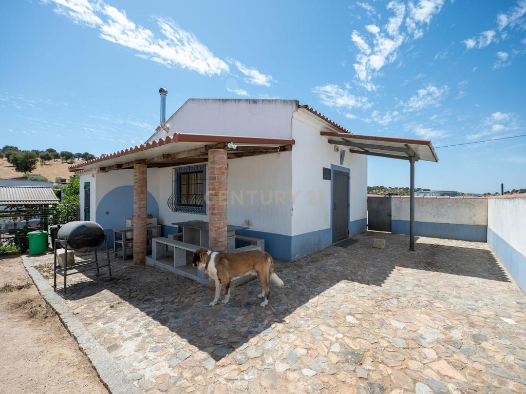 Herdade de 62 Hectares no Coração do Alentejo – Évora - Agricultura - Pecuária - Turismo Rural - Painéis Solares - Image 43