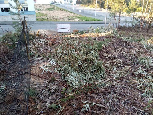 Lote terreno para construção - Telheiro - Image 1