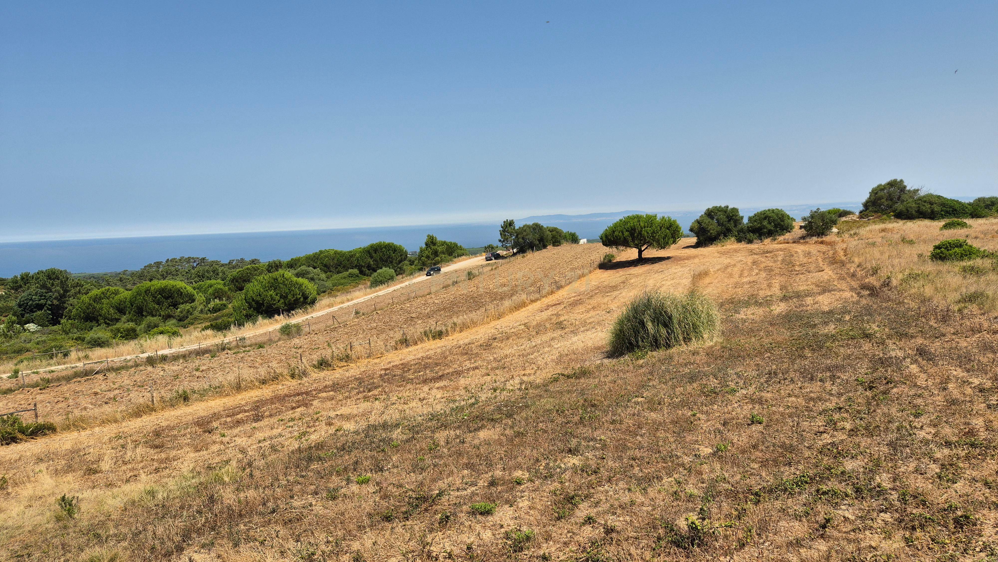 Fotografia 4 de Terreno com Vista Mar e Lisboa na Azoia (15.700 m²) | PIP Aprovado para Moradia + Cave
