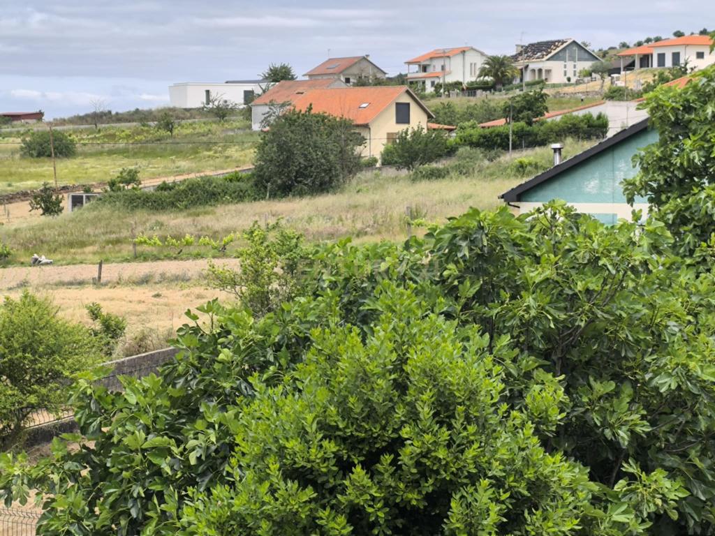 Casas prontas a habitar com terreno, arvores de fruto, forno e água própria. - Image 19