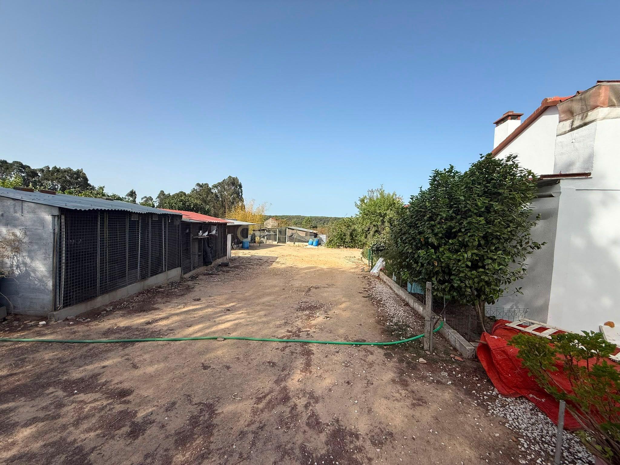 Fotografia 6 de Moradia t2 com 10.280 M² DE TERRENO E UM RIACHO