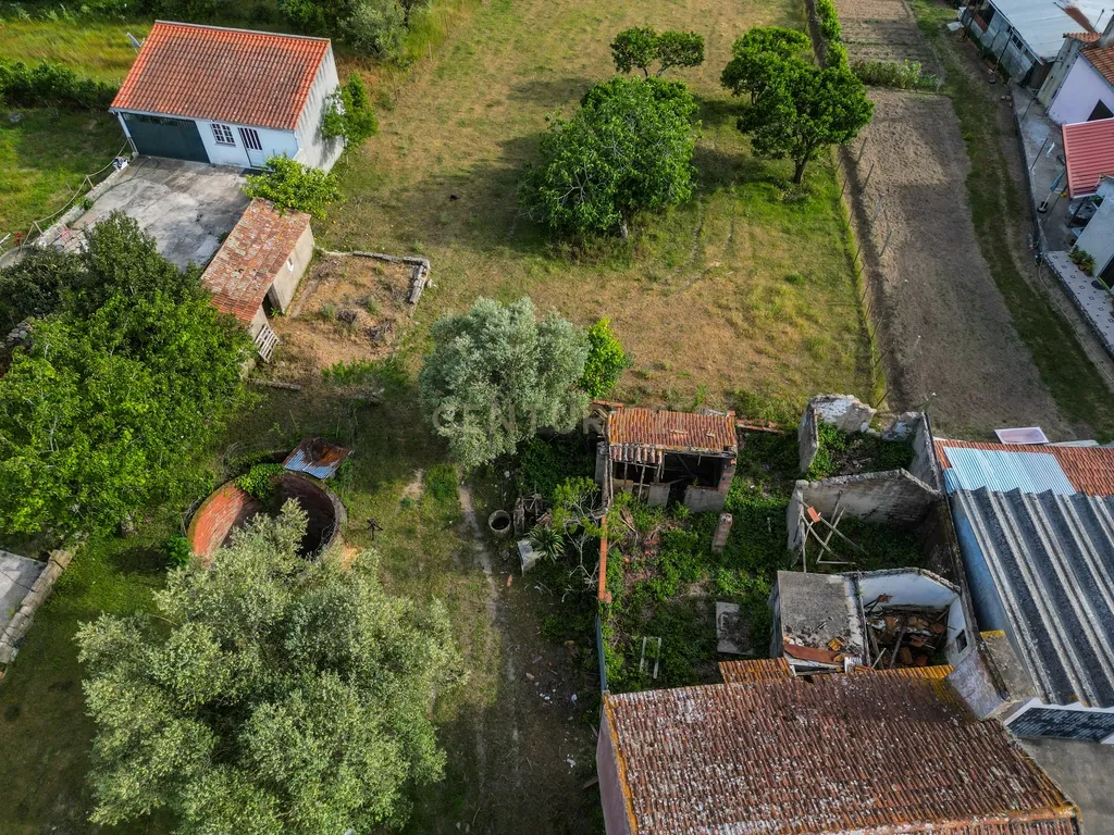Moradia para Reabilitar com Terreno de 2.590m² em Gatões – Montemor-o-Velho - Image 9