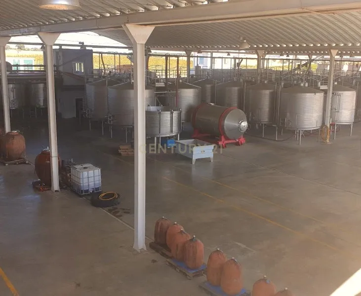 Herdades com produção Vinho, com 157,3ha situada em Terrugem, concelho de Elvas - Image 6