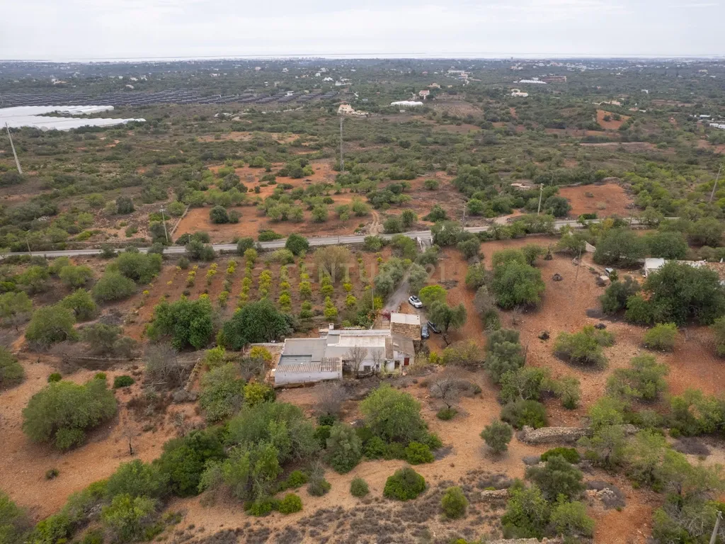 Oportunidade Única no Algarve – Propriedade de 33.840m² com duas moradias centenárias para remodelação - Image 3