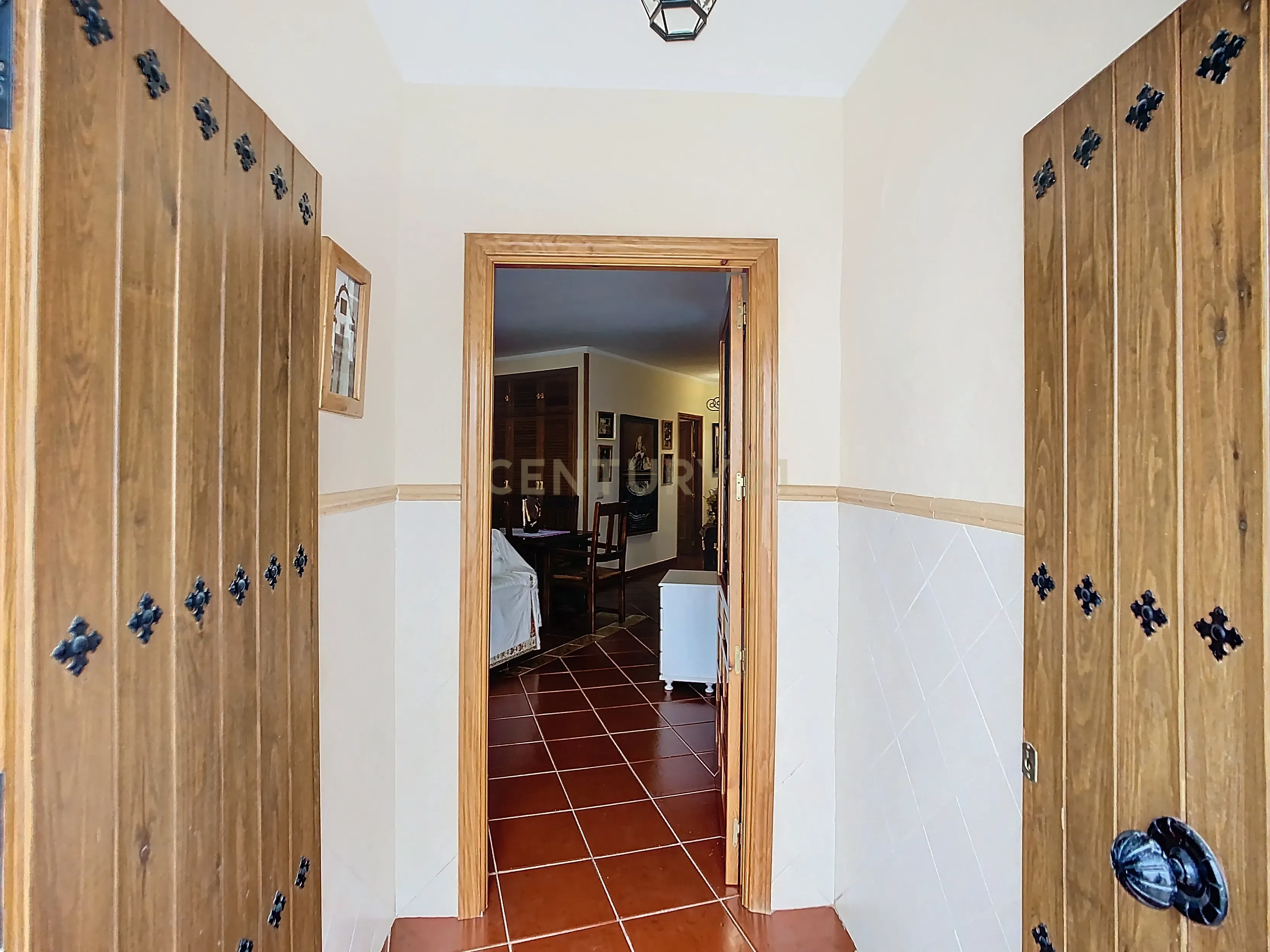 - Image 5